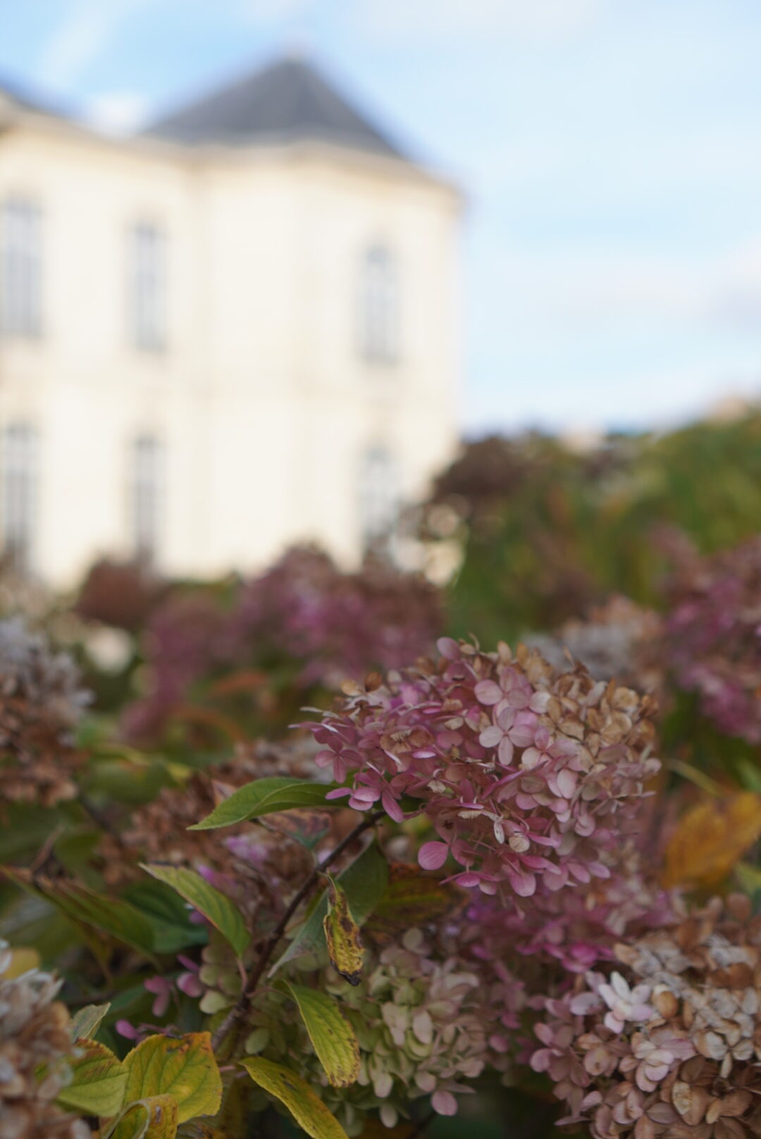 cahier de vocablaire パリ暮らしの言葉ノート Vol.5 — 守屋百合香