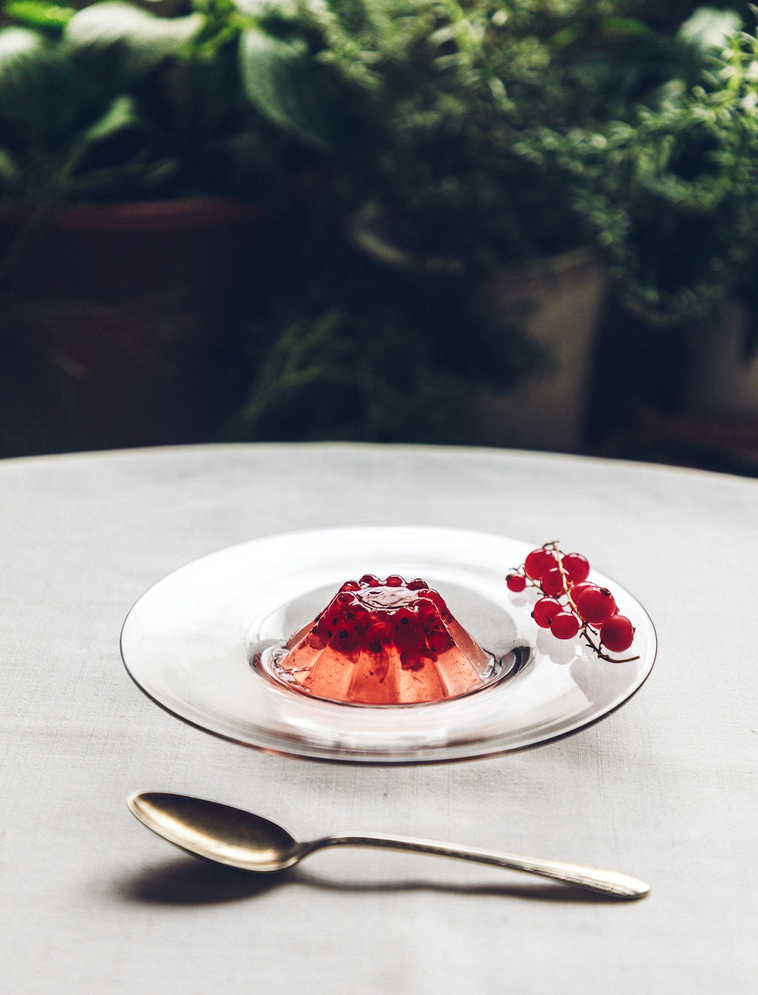 おいしいおはなし第43回『みどりのゆび』チトのためのスグリの実のゼリー